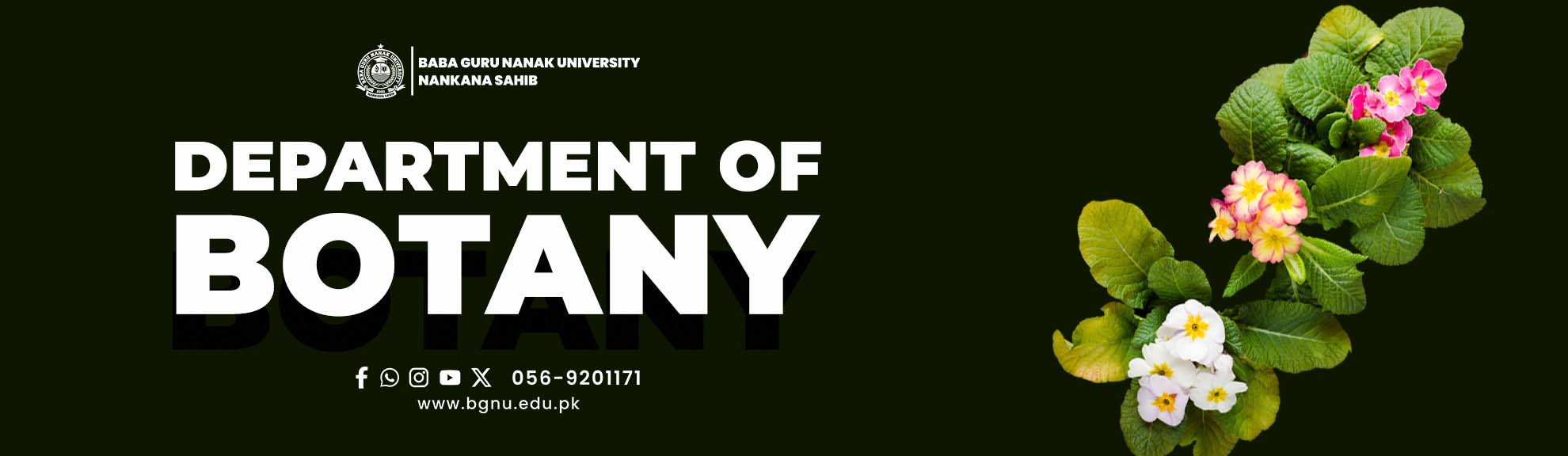 Department of English Language & Literature